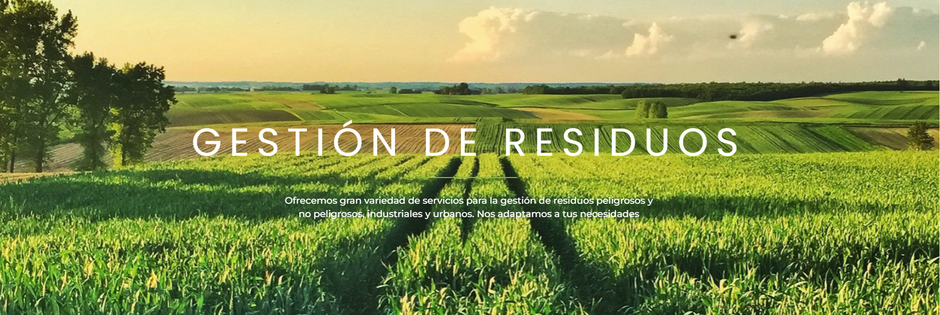 bannerLlopis bannerLlopis